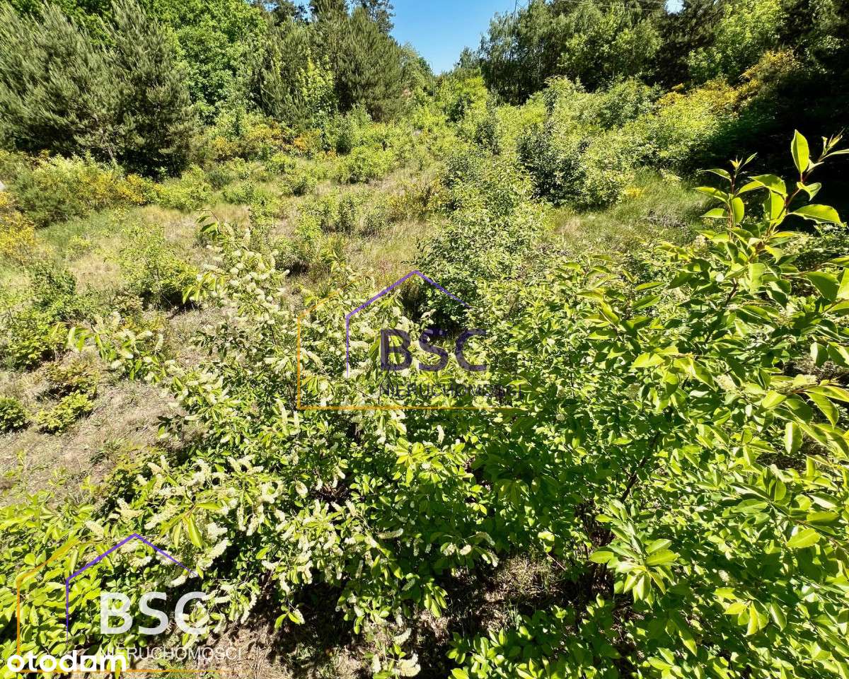 Duża i tania działka w gminie Serock-7