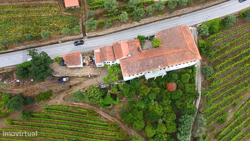 Quinta de construção antiga, em bom estado - Uma Casa com Alma e Memór - Grande imagem: 5/10