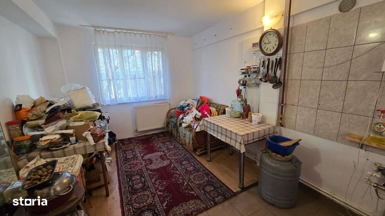 Drumul Taberei - Brancusi-10