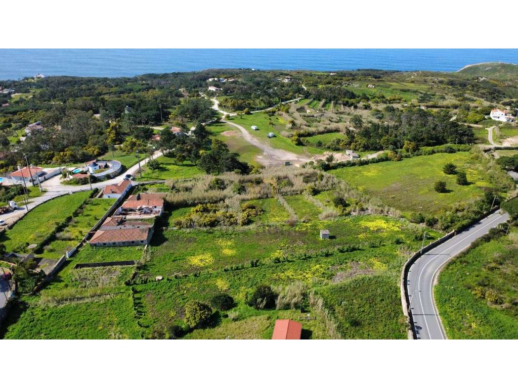 Terreno com 1,5 Hectarescom 4 Habitações junto ao Cabo da Roca-16