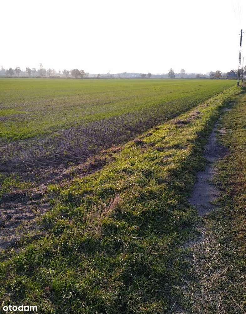 Sprzedam działki pod zabudowę jednorodzinną - Pełny obrazek: 4/8