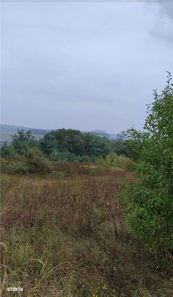 RECO Teren intravilan Lazareni - Imagine principală: 2/5