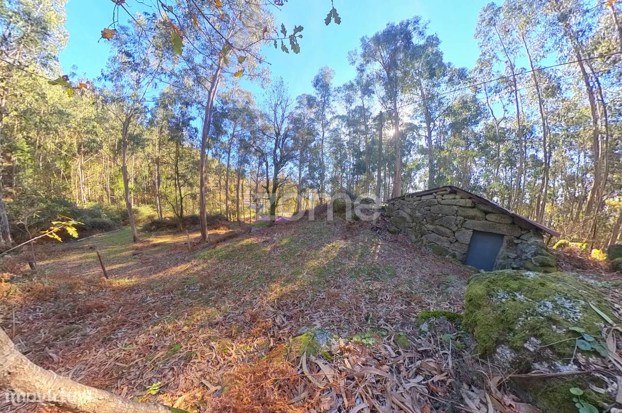 Terreno com Corte de Chão de Castro* - Grande imagem: 4/16