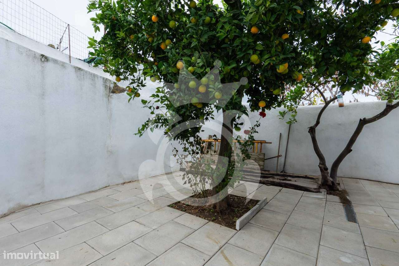 Moradia T2 -Montemor-o-Novo = NOVO PREÇO! - Grande imagem: 3/29