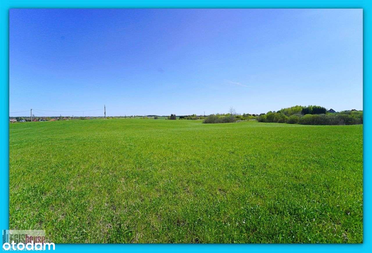 Różnowo* 3004 m2* możliwość podziału na 2 działki-9