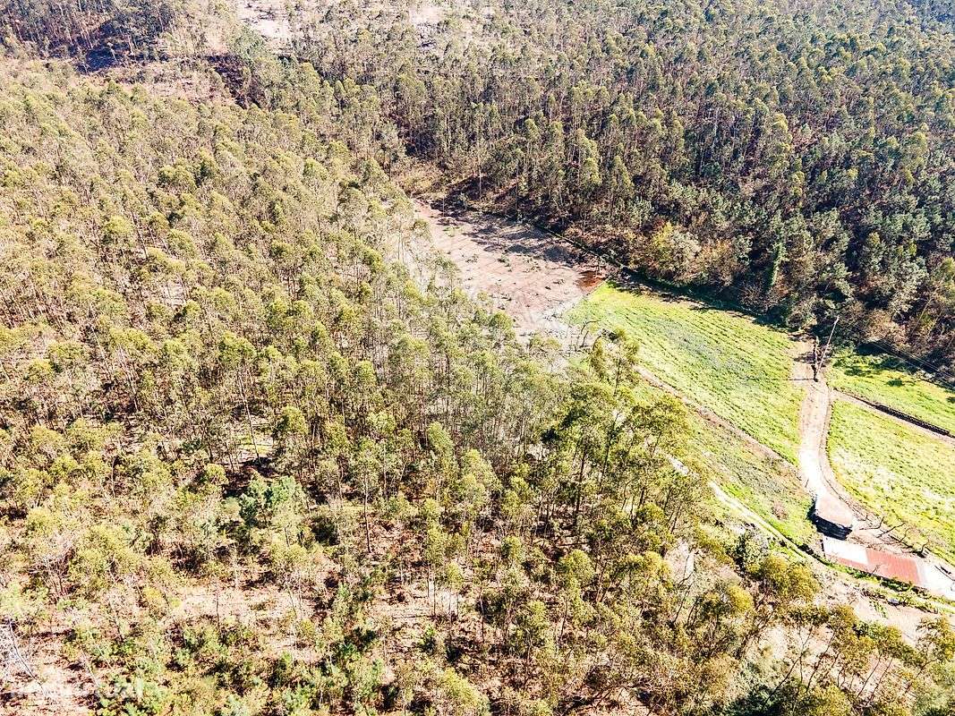 Terreno  para venda - Grande imagem: 4/17