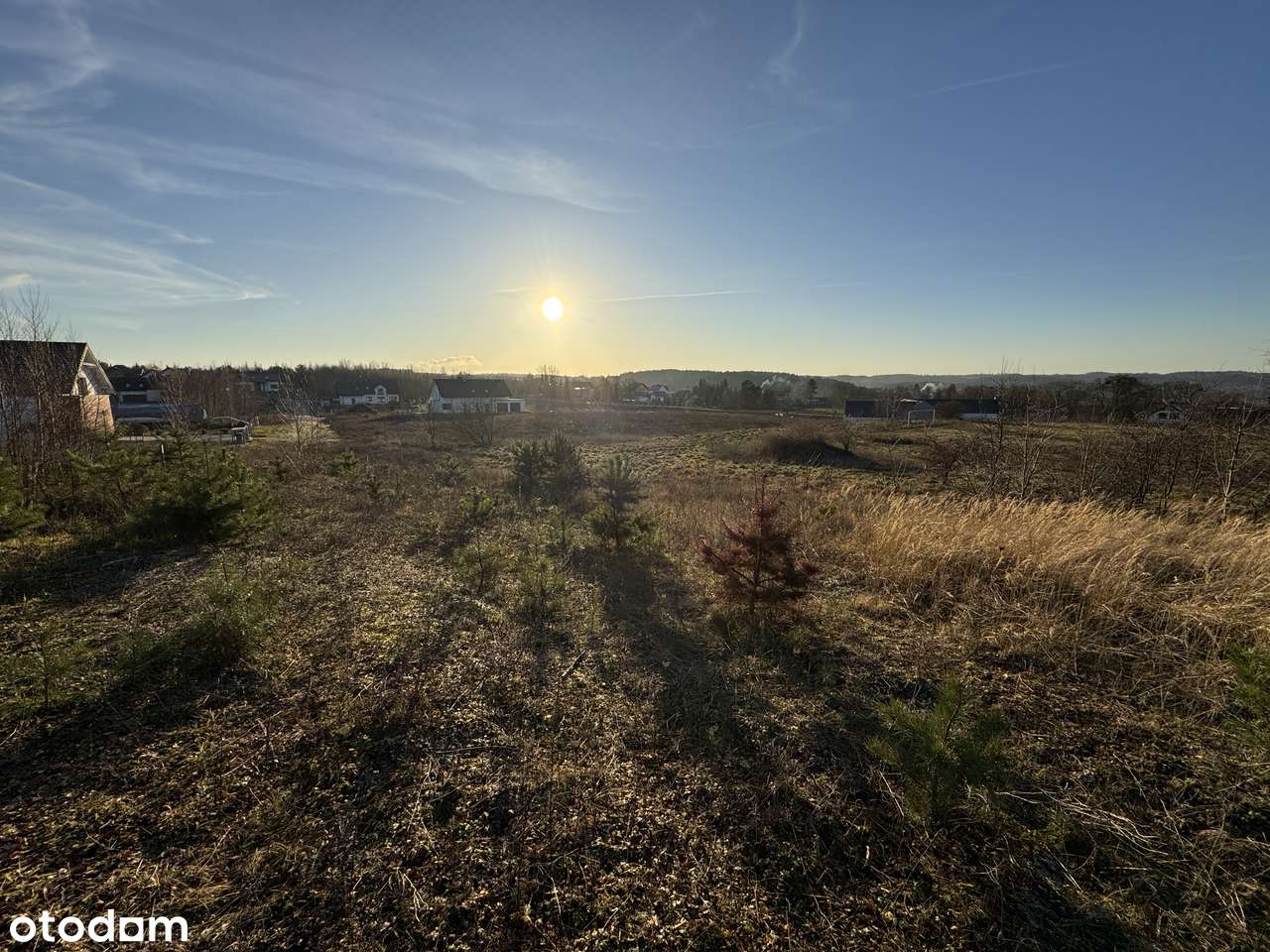 Działka Charzykowy przestrzeń las jezioro widok - Pełny obrazek: 4/4