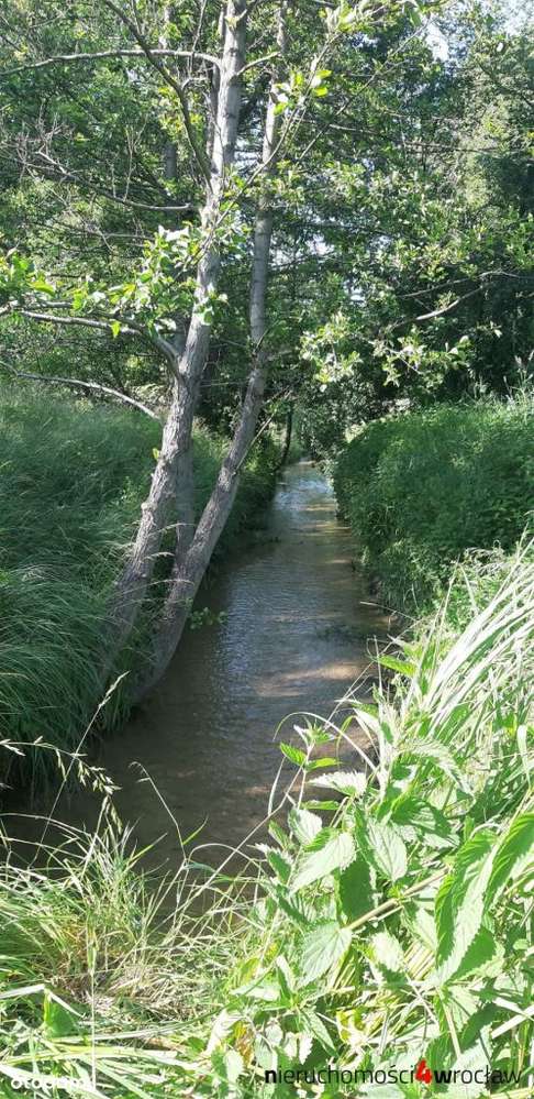 U/Mw*Segmenty*Market*Dom Seniora*Przedszkole-2