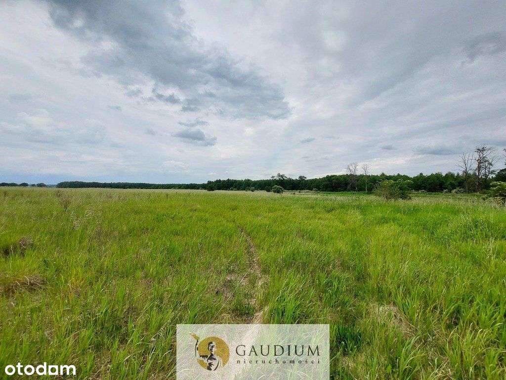 Turystyka nad brzegiem rzeki Obry-12