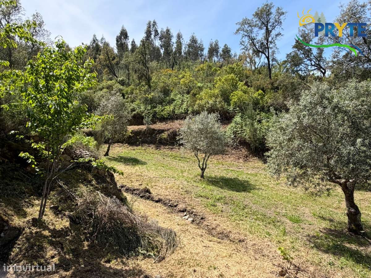 Terreno com uma ruína não registada a 6 quilómetros da Sertã-35
