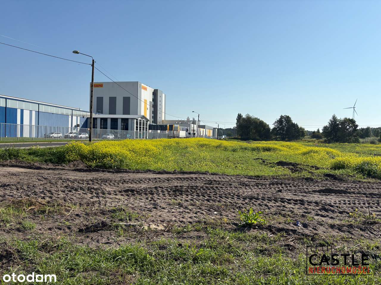 Duży teren inwestycyjny  pod halę lub centrum logistyczne-3