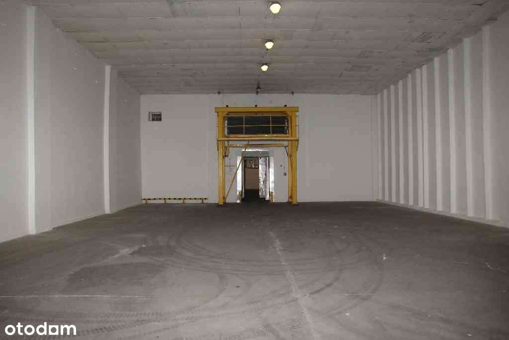 Magazyn z rampą - Podgórze Centrum - Pełny obrazek: 5/12