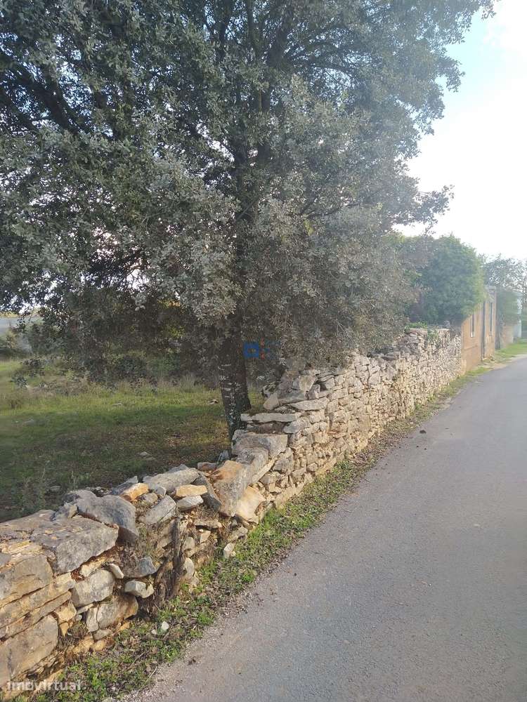 Terreno  em Fátima no lugar de Boleiros-11