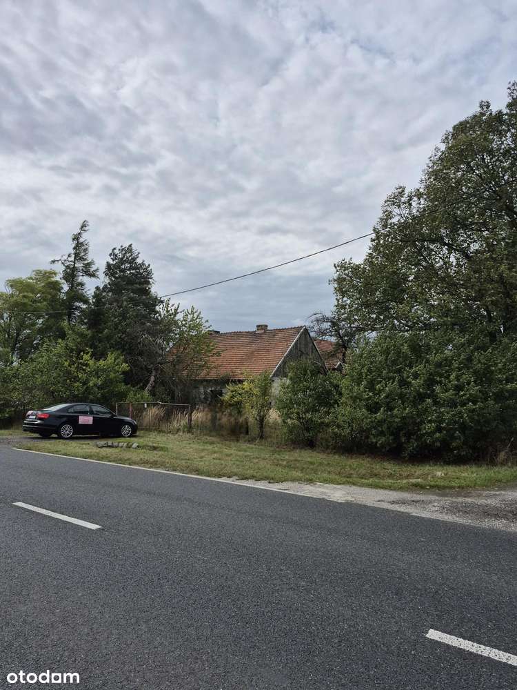 Pniów, nieruchomość przy głównej drodze - Pełny obrazek: 5/7