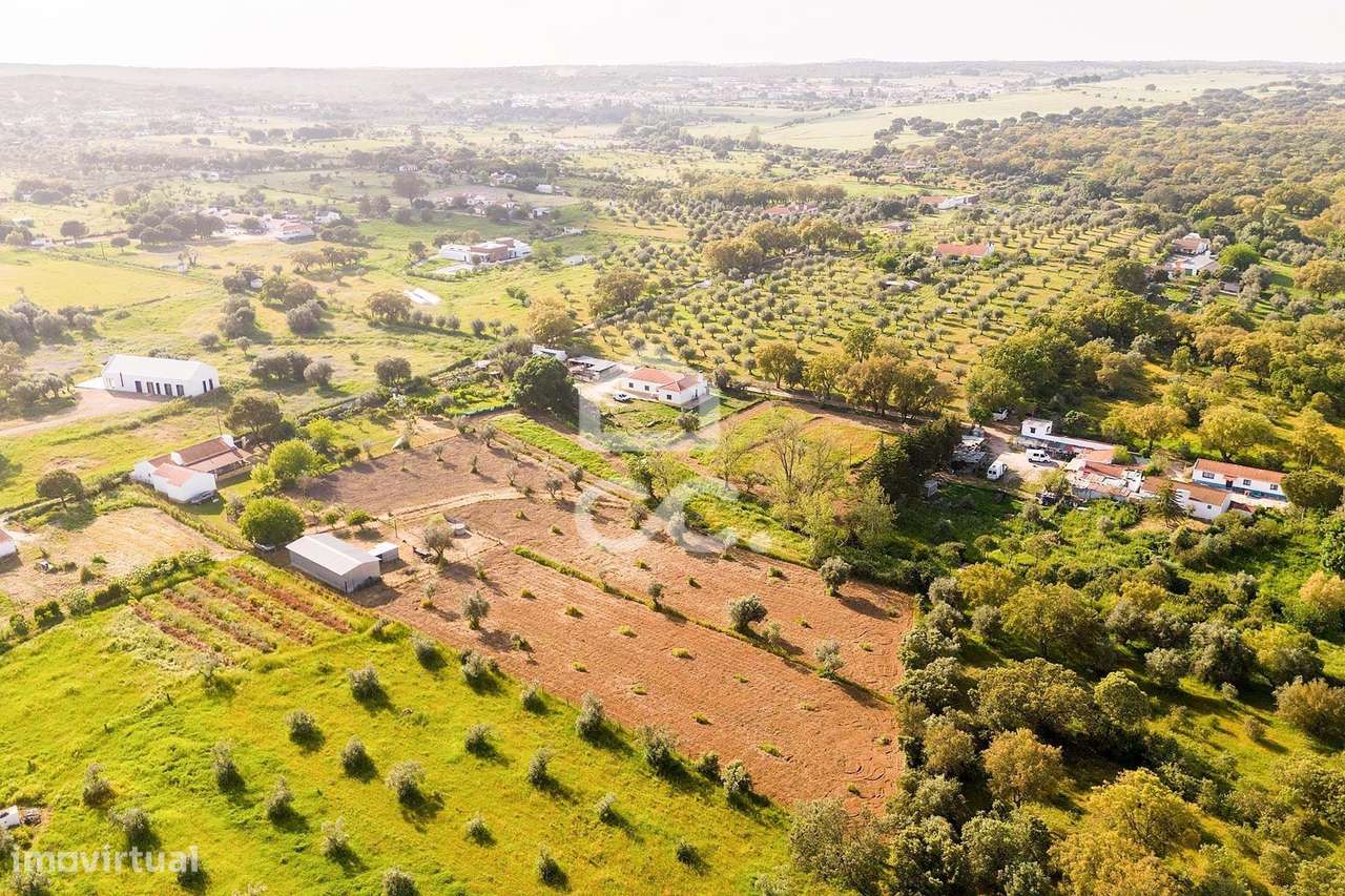 Quinta de 9250m2 c/ Moradia T4 térrea, anexo e armazém | Azaruja-59