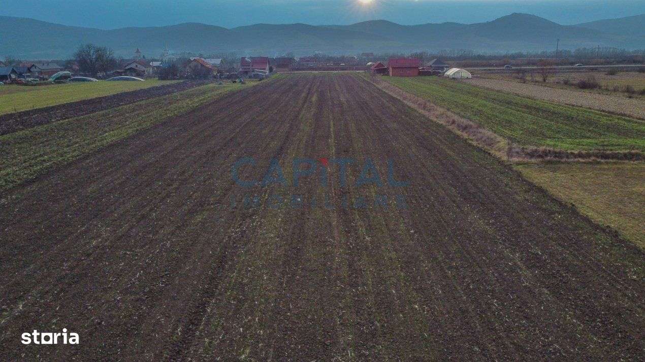 Comision 0%! Teren 23 600 mp, front 45 ml, la drum national, utilitait - Imagine principală: 2/6