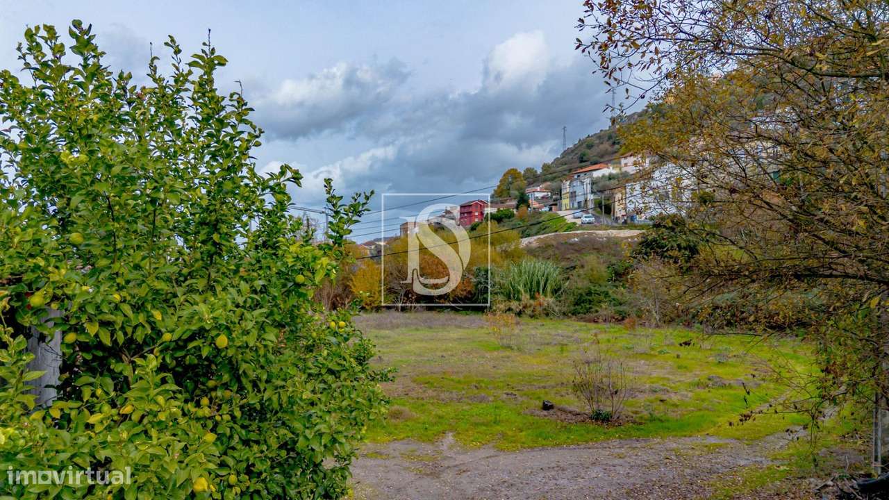 Quinta das Lamas - Grande imagem: 2/15