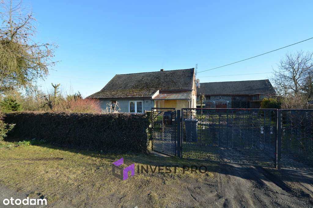 37 arów w Sarnowie - dom z cegły i duże zaplecze-13