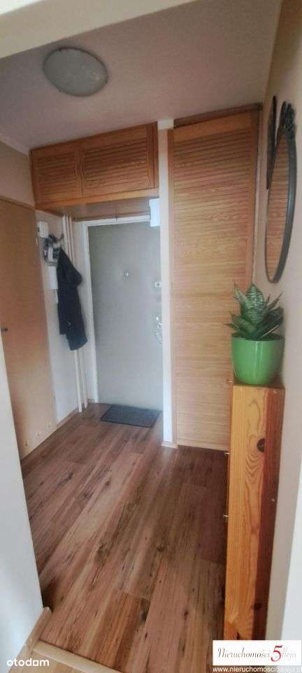 37m2 zielony Dębiec ul Orzechowa balkon 1piętro - Pełny obrazek: 5/8