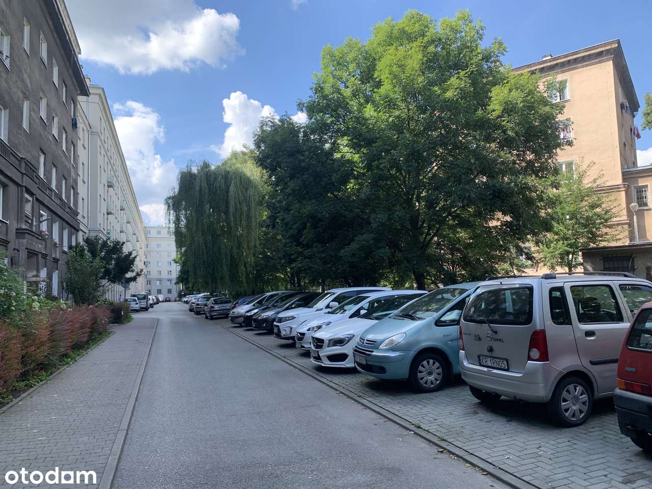 Plac Centralny,2 pokoje, po remoncie, winda, słoneczne, do wejścia-15