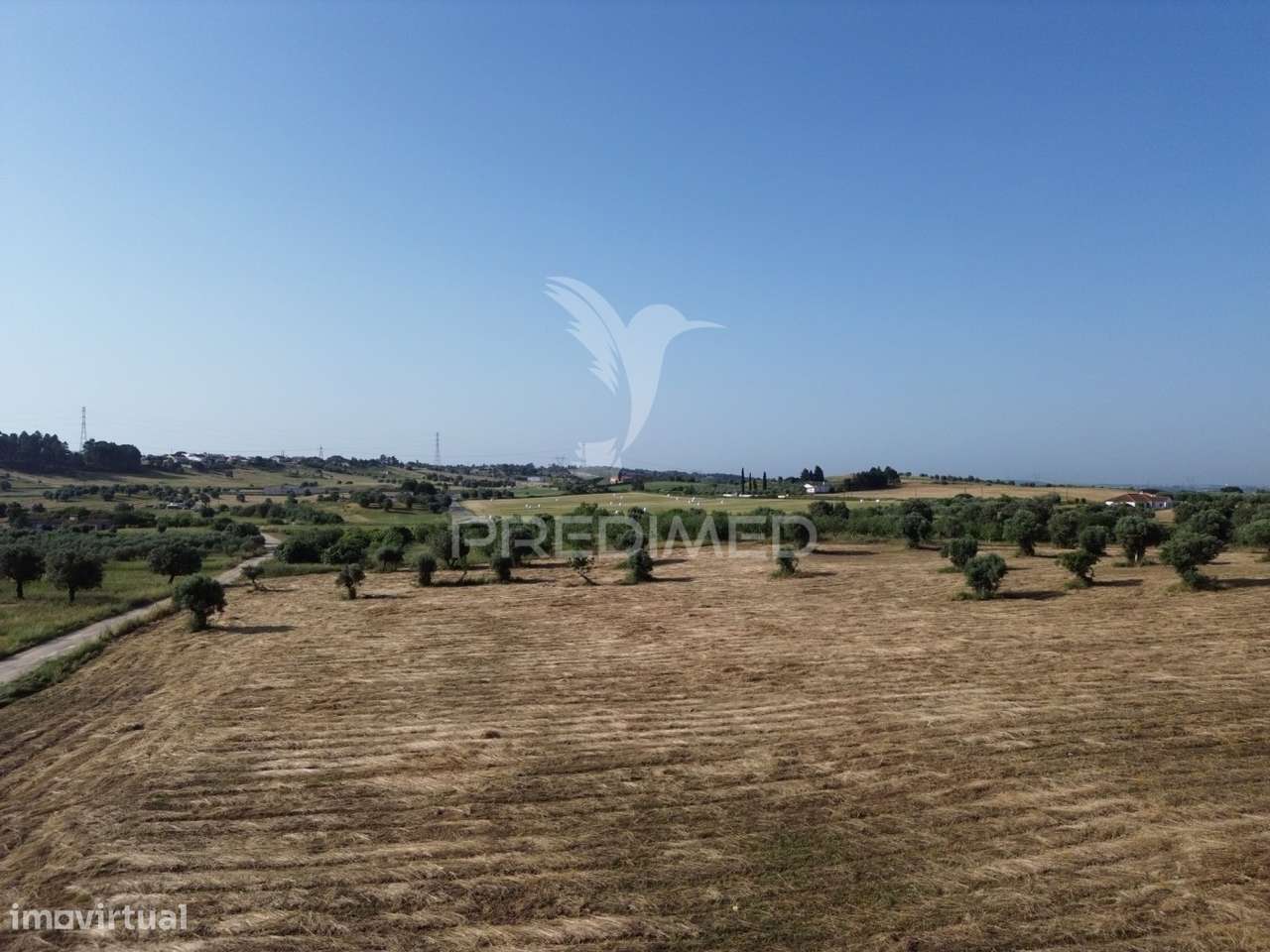 Terreno Rústico com Ruína - Alcorochel, Torres Novas - Grande imagem: 4/30