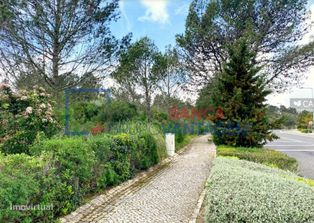 Lote Terreno - Belas Clube Campo - Grande imagem: 5/16