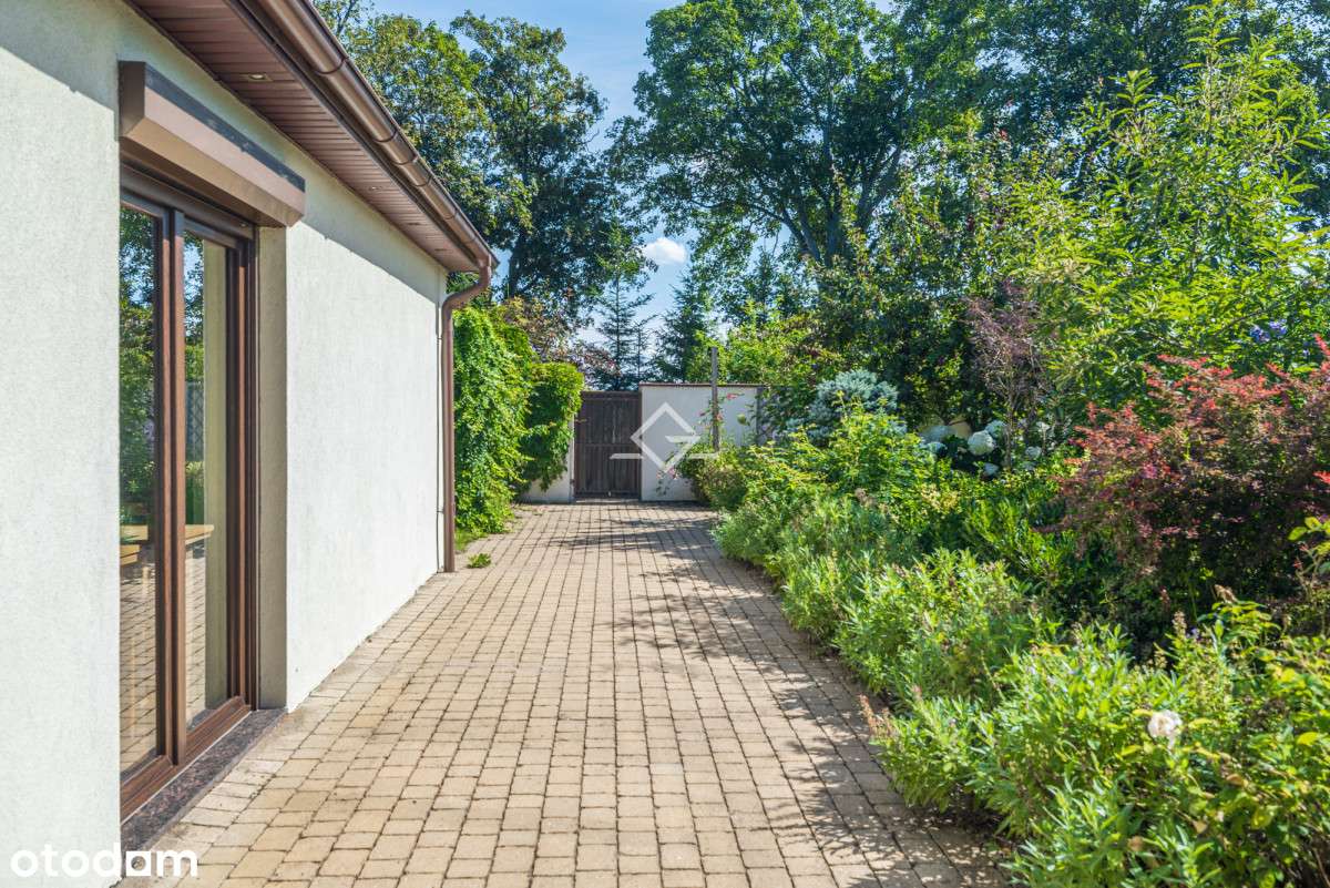 Dom przy pięknym lesie | do wprowadzenia| od zaraz - Pełny obrazek: 5/19