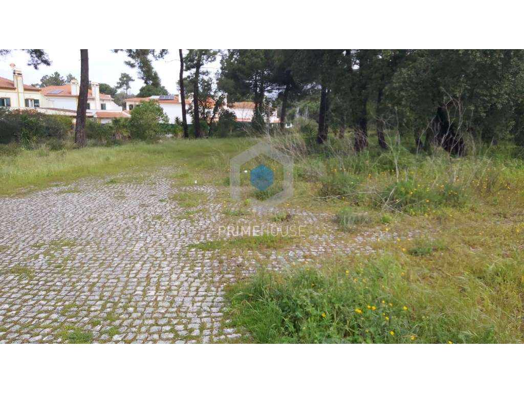 Terreno para Serviços - Grande imagem: 3/15