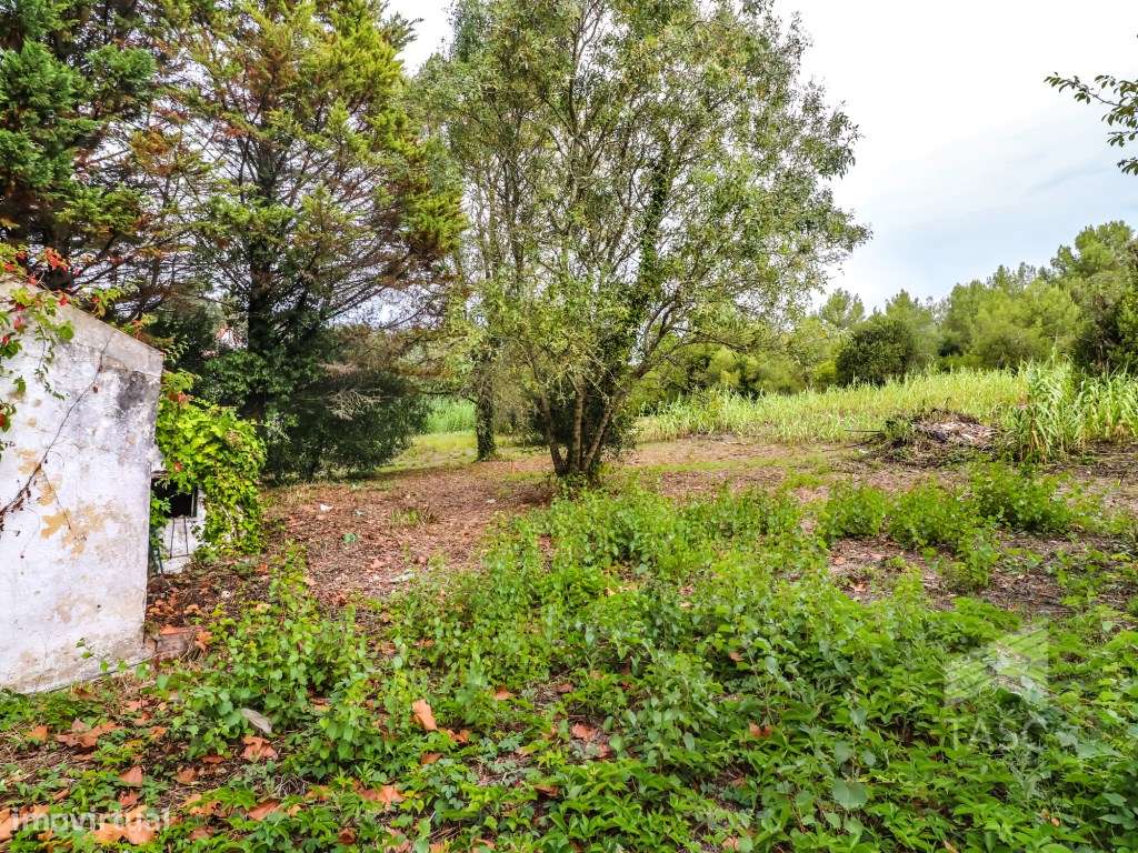 Moradia para reconstrução em Colares-9