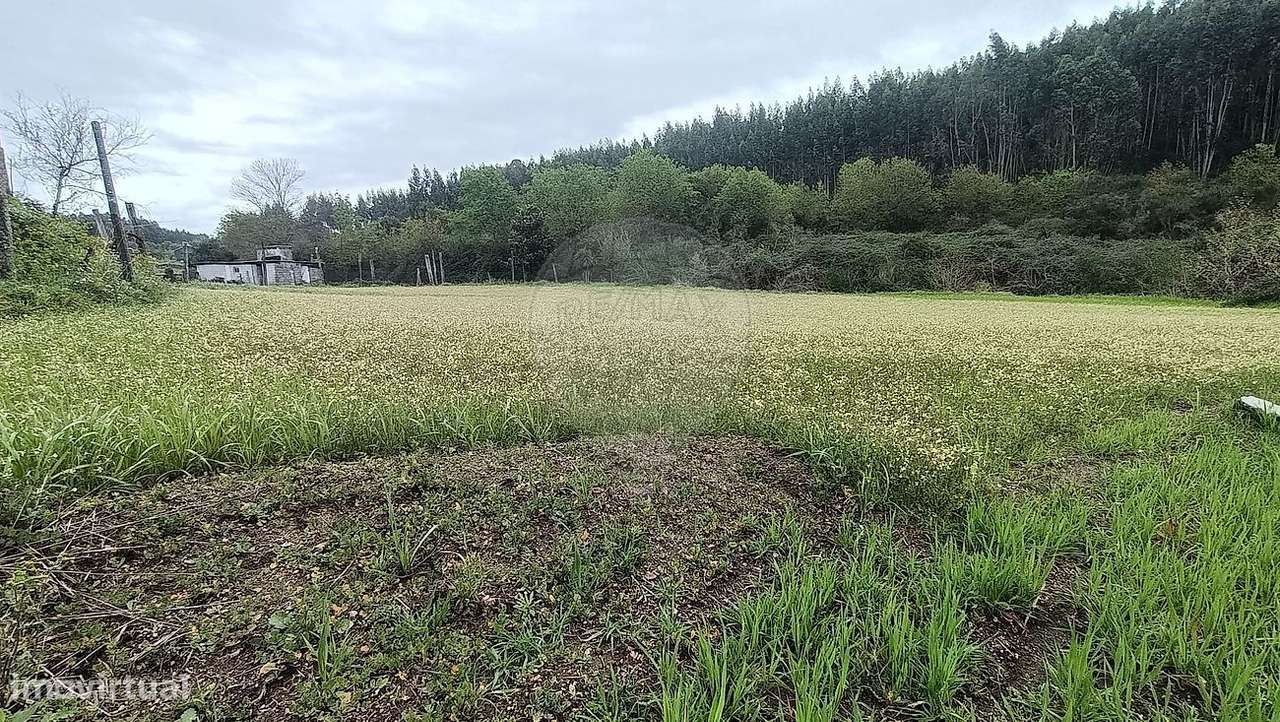 Terreno  para venda - Grande imagem: 5/25