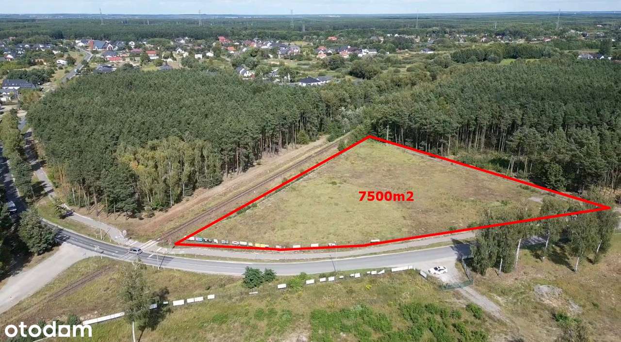 Działka 7500m2 Kruszyn Krajeński / pod inwestycje/usługi-0