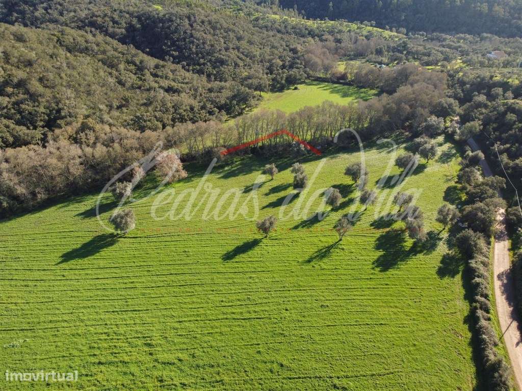 Monte Alentejano de 36ha com 3 ruinas - Pego das Pias - Odemira-20