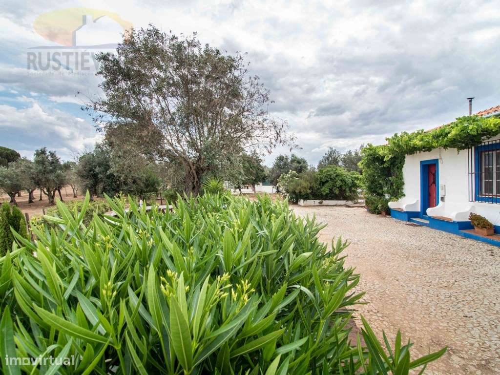 Quinta com 16 ha, com 4 Moradias Unifamiliares, piscina e várias ár...-23