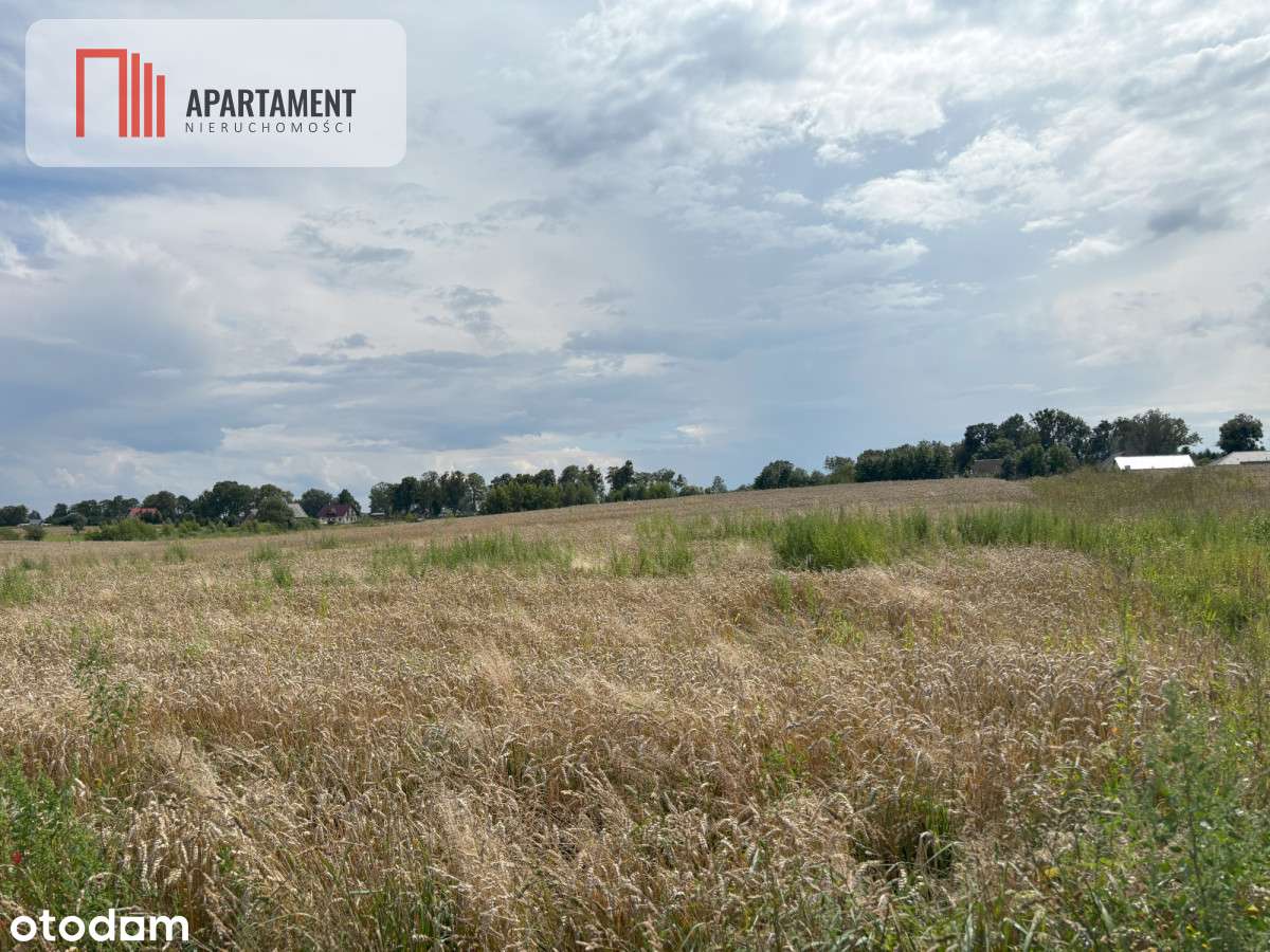 Gotowa działka budowlana Gołębiewo Wlk. - Pełny obrazek: 3/14