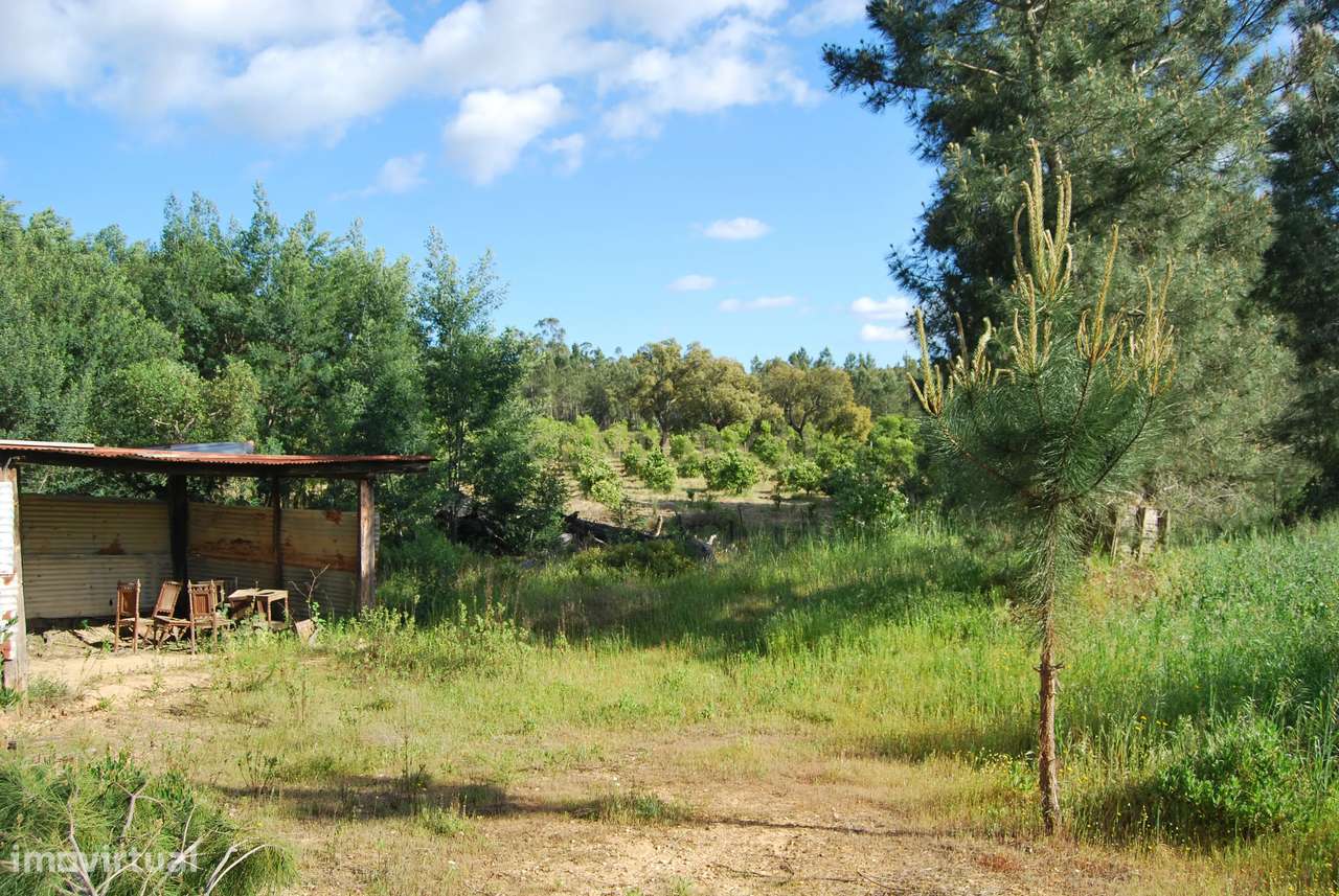Terreno rústico 28200m2 em Vale do Junco, Chamusca, Golegã-29
