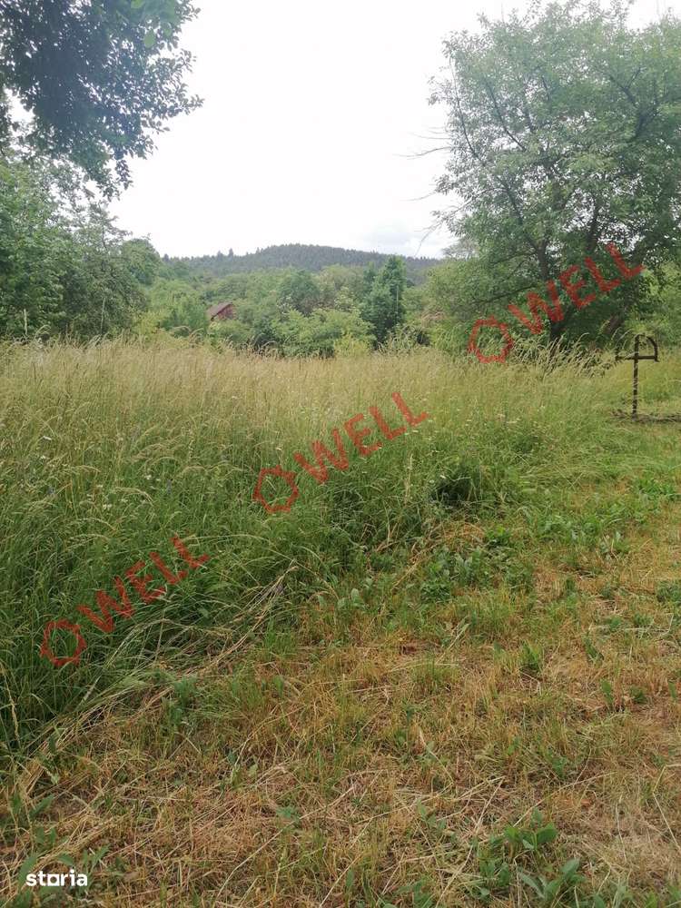 De vânzare două parcele de teren intravilan în Harale (Ghelința) - Imagine principală: 5/7