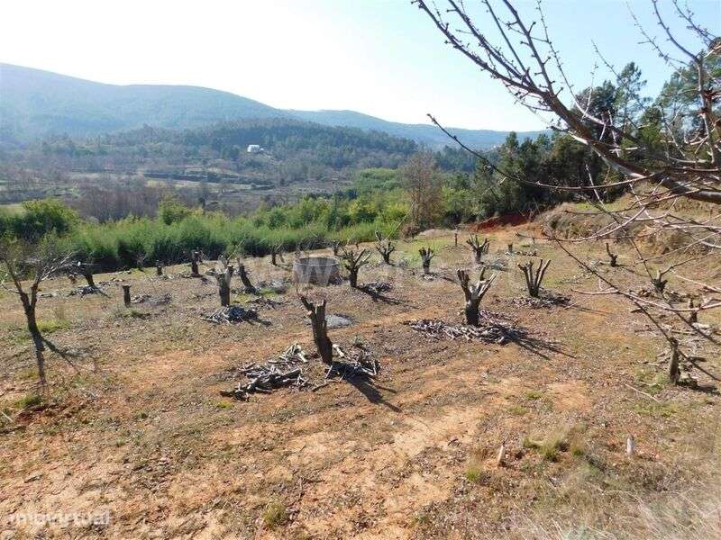 Quinta / Fundão, Alcaide - Grande imagem: 5/6