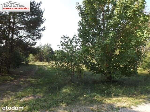 Działka, 7 200 m², Wielki Głęboczek - Pełny obrazek: 5/6