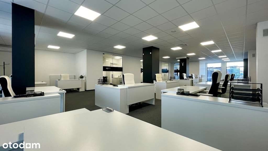Biuro wysoki standard - 323 m2 + duży Parking - Pełny obrazek: 5/15