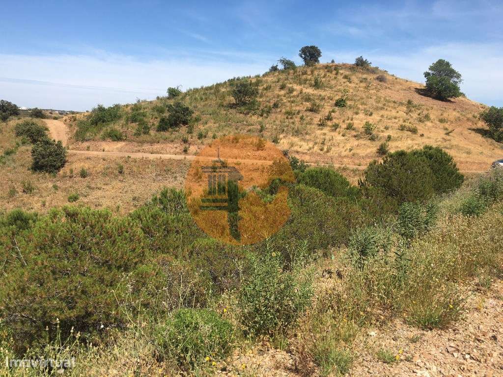 Terreno Rustico em Pisa Barro de Cima - Grande imagem: 2/27