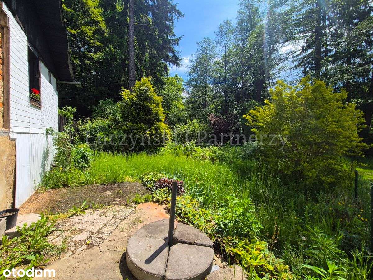 Przestronne m2 z ogródkiem i garażem - Pełny obrazek: 5/17