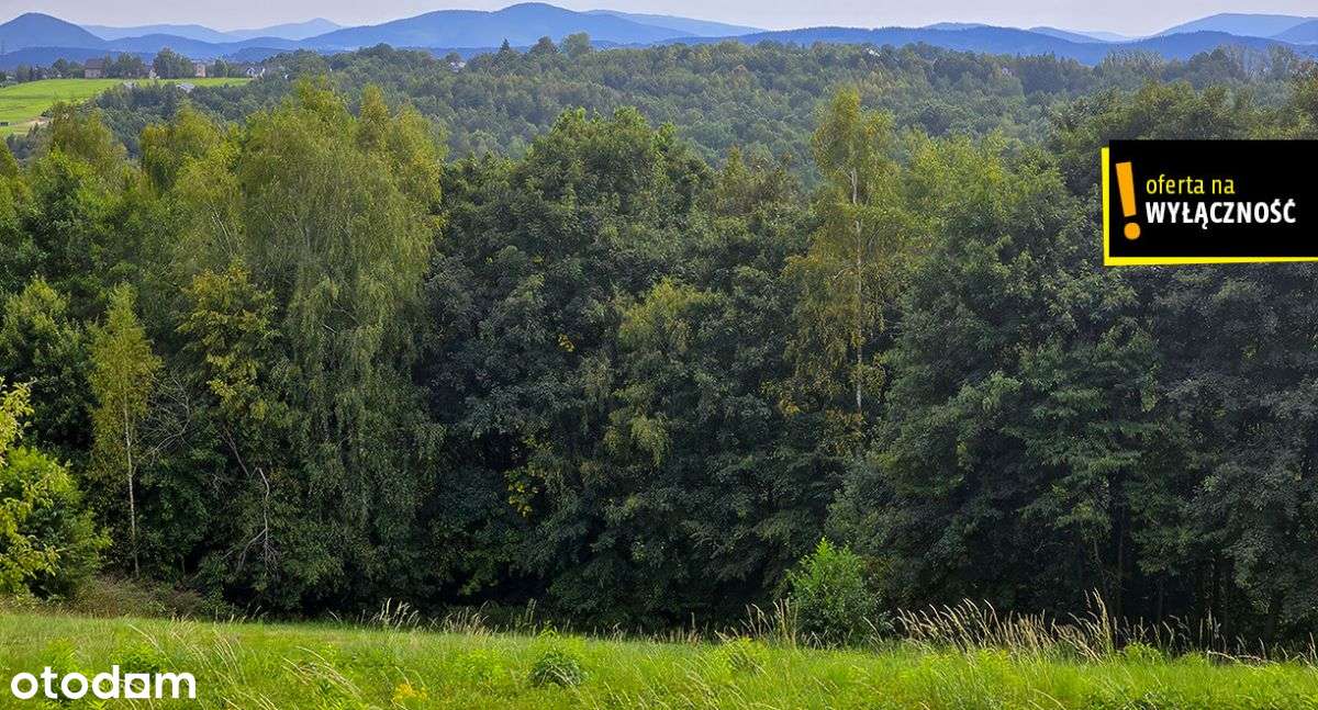 Działka  w Czechówce z widokiem na Beskidy - Pełny obrazek: 5/10