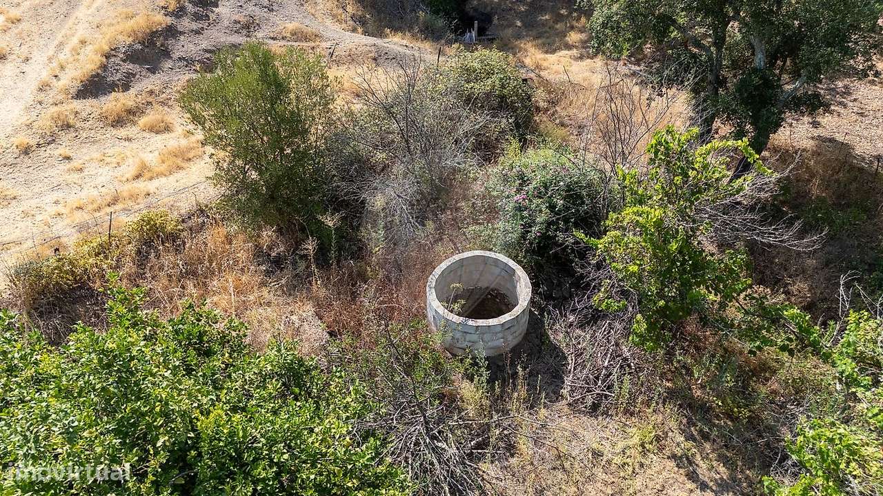 Quinta T4 para venda - Grande imagem: 5/21