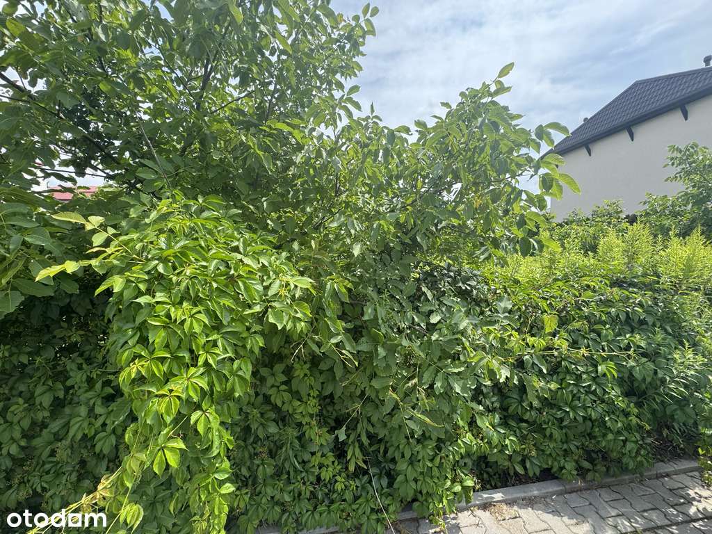 Raszyn-Rybie-453m2-dom wolnostojący-mpzp - Pełny obrazek: 4/5