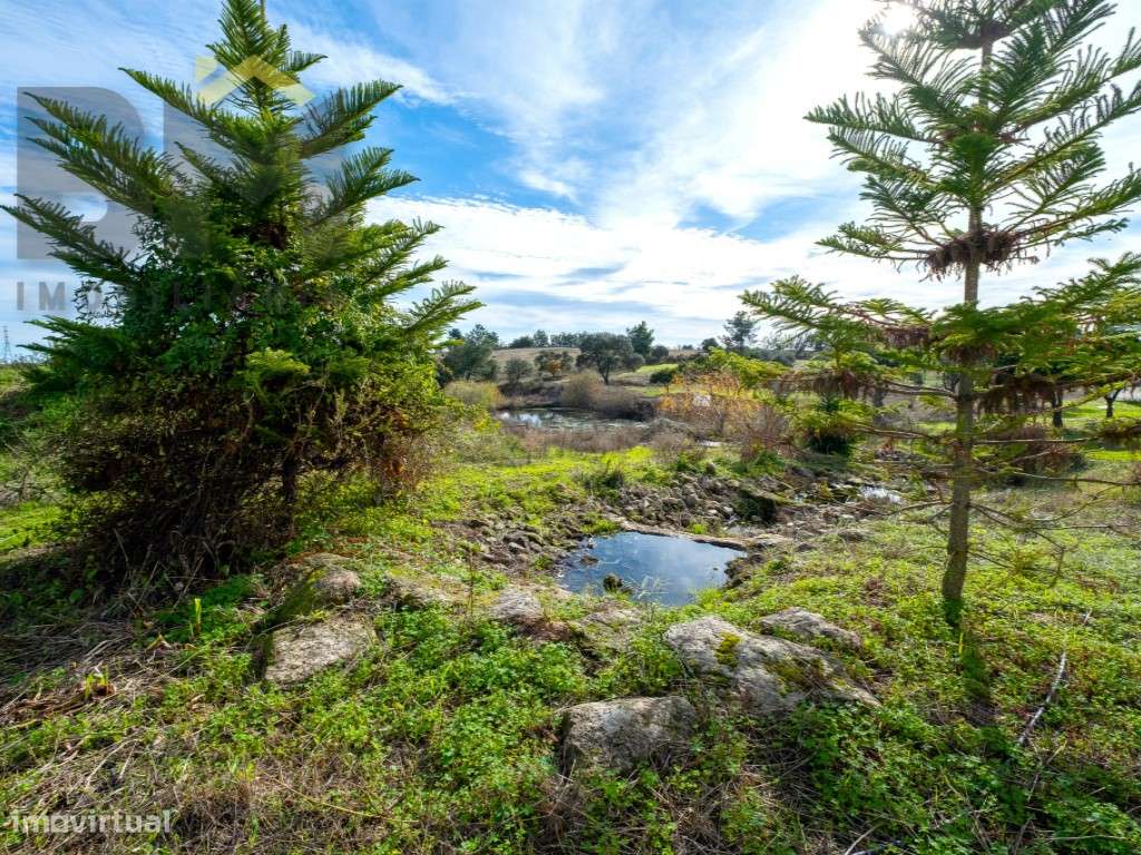 Quinta das Fontainhas - Propriedade Única em Lardosa-39