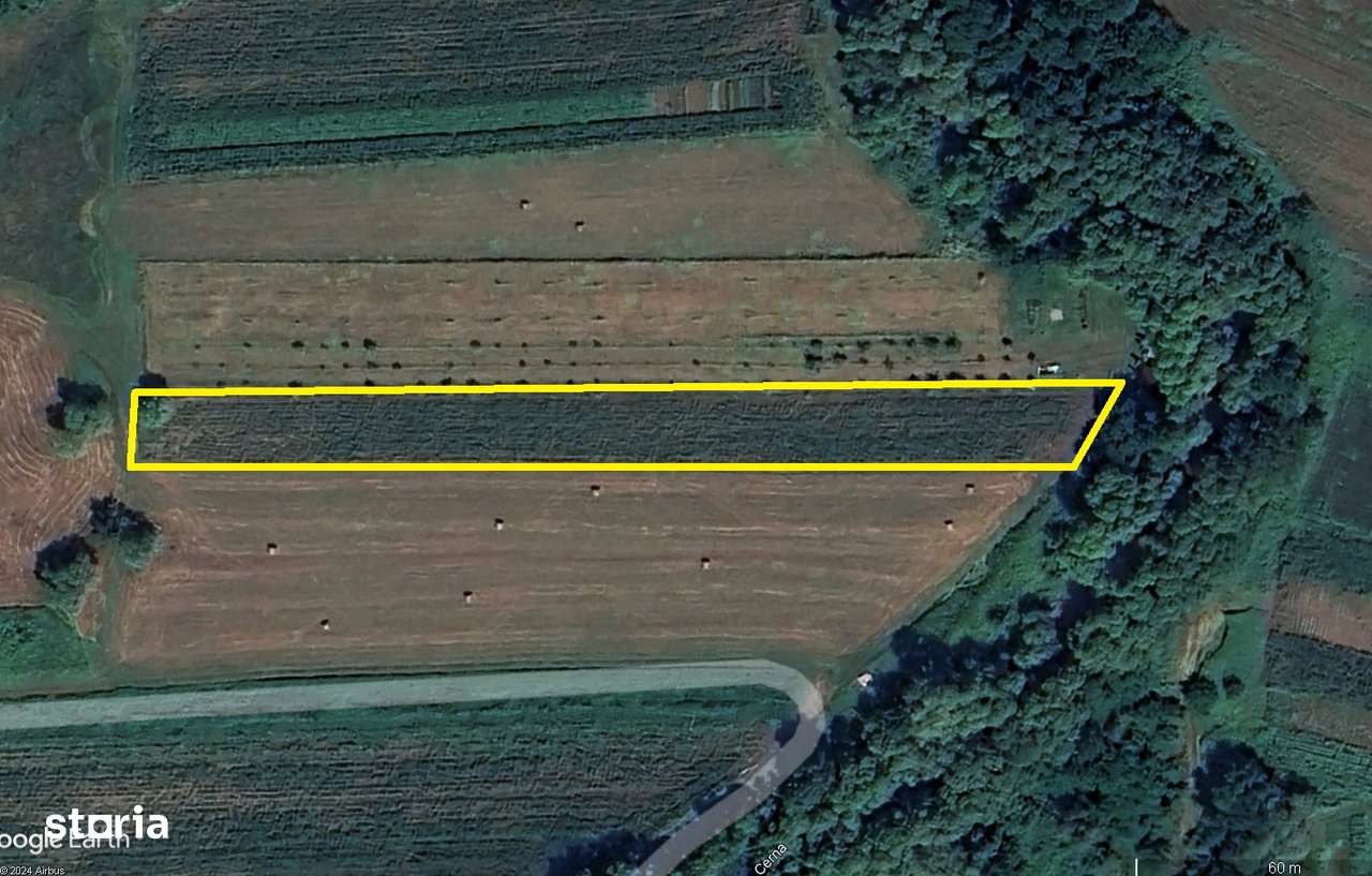 Teren Barcea Mica - Imagine principală: 5/5