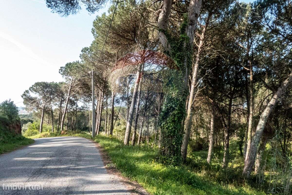 Terreno  para venda - Grande imagem: 5/17