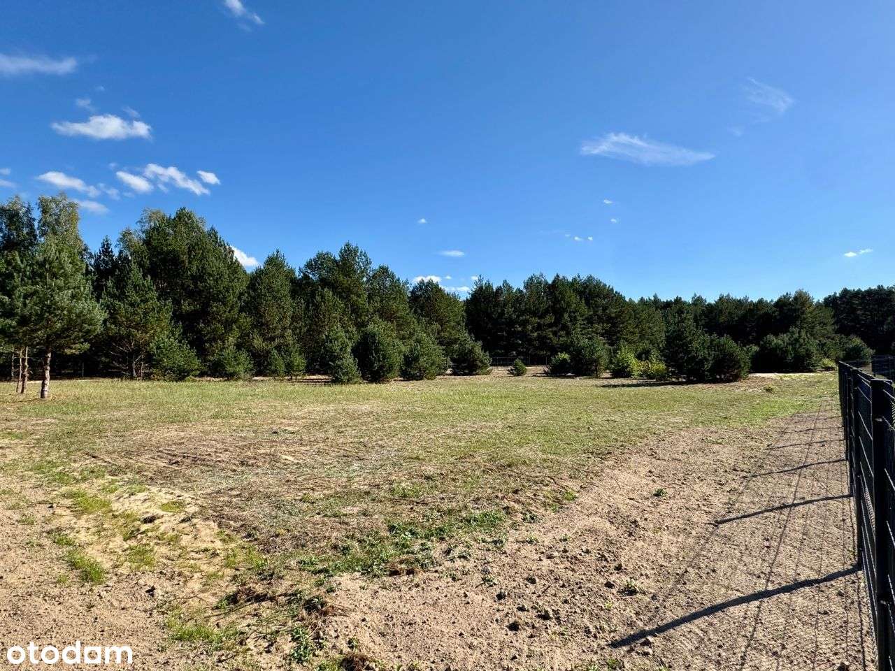 Działka budowlana z lasem w Parku Krajobrazowym - Pełny obrazek: 5/16