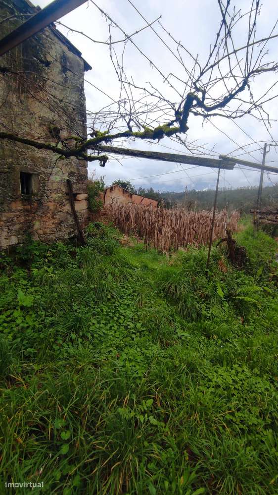 Casa em Pedra junto a Riacho em Travanca, Oliveira Azeméis - Exlusivo - Grande imagem: 4/18