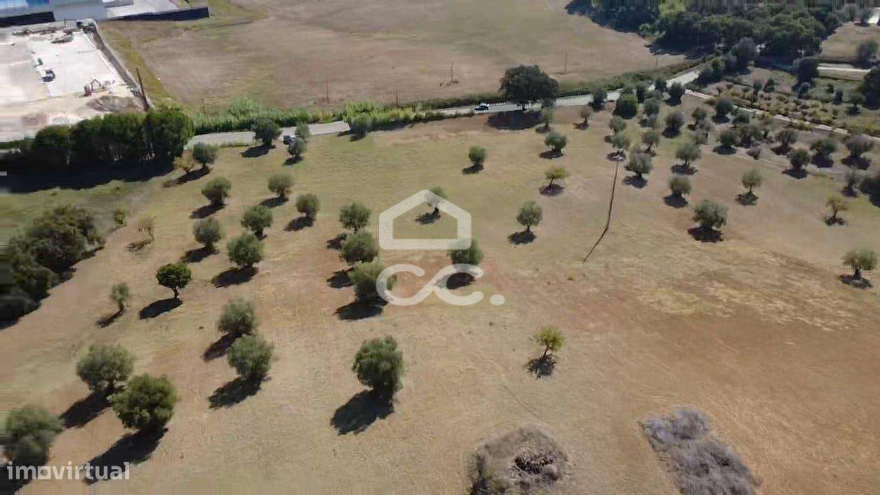 Terreno Rústico com 25.240 m² em Ferras, Gavata, Torres Novas – RAN-30